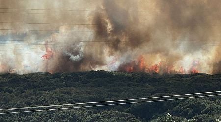 Dublin Fire Brigade battling gorse wildfire near Dublin Mountains as locals advised to close windows