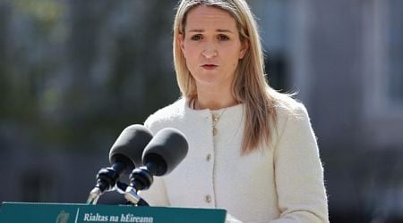 Airlines and ferry companies face increased fines for carrying undocumented passengers, Justice Minister Helen McEntee says