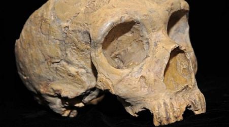 Surprising Signs of Neanderthal Adaptability Discovered in Ancient Rock Shelter