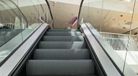 Estonia, Tallin, Kaubamaja shopping mall, 1X escalator