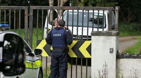 Work begins at Thornton Hall site to house asylum seekers with a number of arrests made as tensions rise