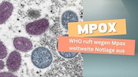 Mpox Virus | WHO ruft wegen Mpox weltweite Notlage aus| Mpox