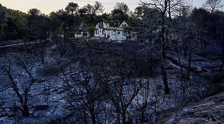 Greece wildfire burned through 40 square miles of land