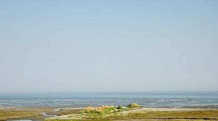 Police investigate fire and sinking of yacht off Ameland