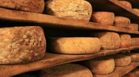 Aged Cheeses May Be Delicious, But You May Want To Avoid These Samples That Are Thousands Of Years Old