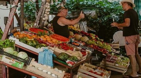 What is the future of food in Croatia? Prices up 37% in four years