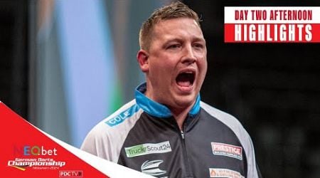 HITTING THE HEIGHTS IN HILDESHEIM! | Day Two Afternoon Highlights | 2024 German Darts Championship