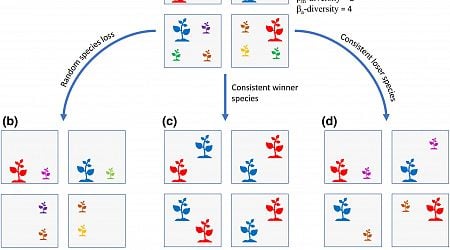 Nitrogen deposition also reduces biodiversity on a larger scale, research shows