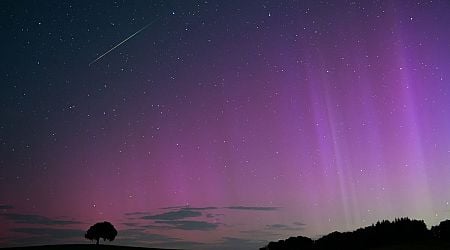 Rare Perseid meteor shower and northern lights display excites stargazers worldwide (photos, videos)