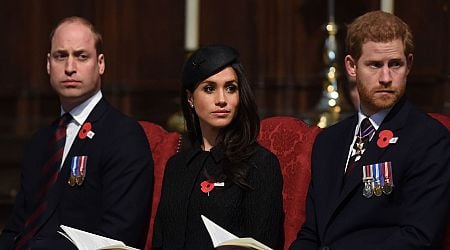 Prince William has 'brutal plan for Prince Harry and Meghan Markle when he is King'