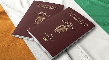 Immigration soars as countries that top list of new Irish citizens revealed