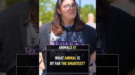 What Animal Is the Smartest?