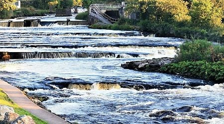 Ireland's plan to improve state of waters branded "missed opportunity to tackle pollution"