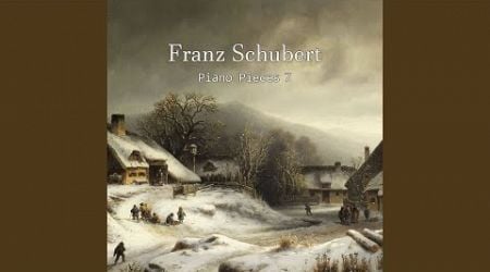 16 Schubert - Winterreise (The Winter Journey) , D.911, 11 Fruhlingstraum, 12 Einsamkeit