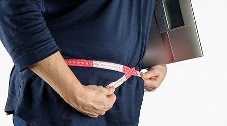 HUN-REN Researchers Investigate the Link between Obesity and Cancer