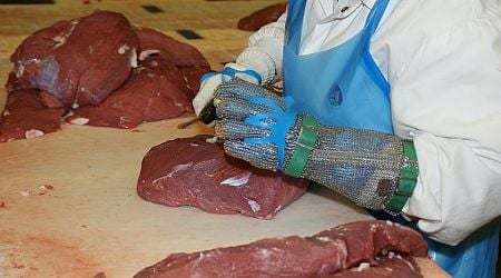 Second arrest made in 200kg meat bust