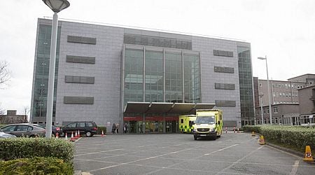 Woman in serious condition after attack by 'number of dogs' in south Dublin