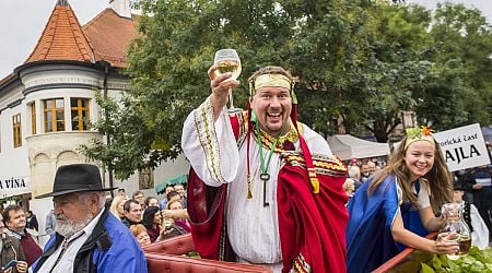 Wine time! Best events to taste Slovak wine in and around Bratislava soon