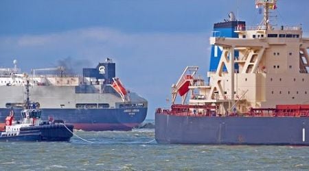 SHIPPING TRAFFIC AT PORT OF ROTTERDAM NETHERLANDS - 4K SHIPSPOTTING JULY 2024