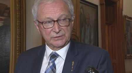 Higgs's comments on French immersion raise questions, critics say