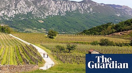 Stars in the east: the shining lights of eastern European wine