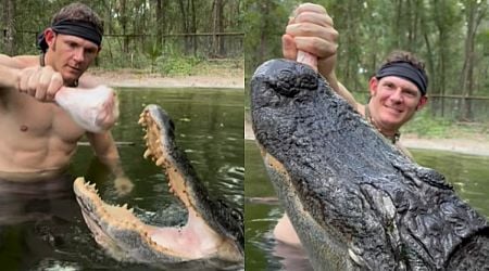 Man fearlessly feeds giant alligator by hand as it devours Turkey leg in viral video | WATCH