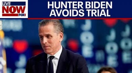 Hunter Biden explains decision to plead guilty to tax charges | LiveNOW from FOX