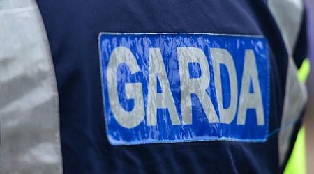 Man (30s) who recently left prison is stabbed in Cork city