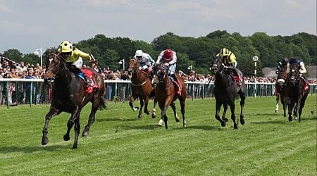 Sprint Cup 2024 trends and stats for Haydock 3.35 on Saturday