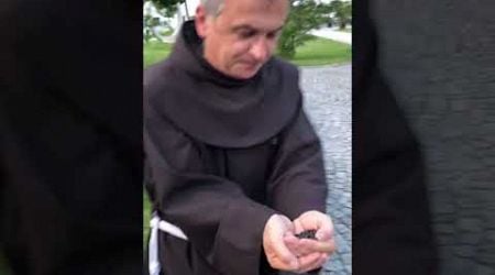 A priest is feeding the fish in a pond in Austria!