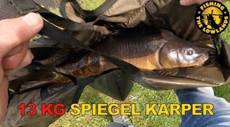 13 Kg karper gevangen met broodvlok in Belgie. FishVlog #95.