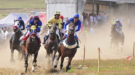 Horse races and pehlivan fights in Isperih