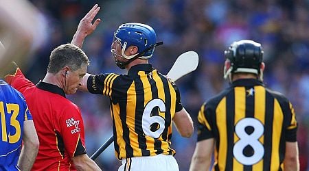 Former Kilkenny star Brian Hogan on famous Hawk-Eye moment with Tipperary a decade on