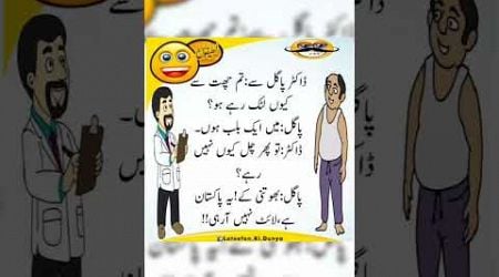 Mazahiya Latifay | Urdu poetry | funny status | comedy status |#status #funnystatus #whatsappstatus