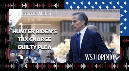 Hunter Biden&#39;s Tax Charge Guilty Plea