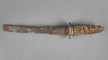 'Ornately Decorated' 17th Century Japanese Sword Found in WWII Ruins