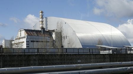 Mushrooms foraged in Sweden could help research Chernobyl radioactive fallout