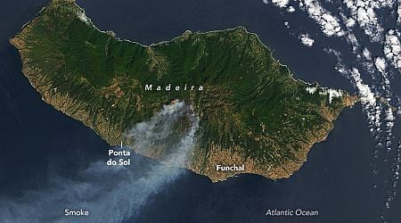 Portugiesische Insel: Waldbrand auf Madeira unter Kontrolle