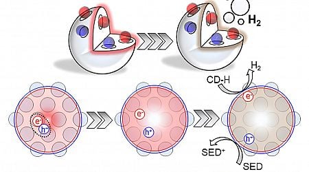 Exploring functional organic materials for the energy transition