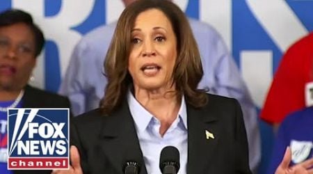 Kamala Harris called out for &#39;cringe&#39; fake accent at Detroit rally