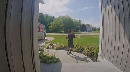 Have You Seen This? FedEx driver's got the moves