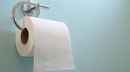 Yes, Your Toilet Paper Rolls Are Smaller