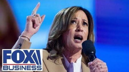 &#39;WAY OFF-BASE&#39;: Kamala Harris grilled for &#39;BS&#39; claim about Trump economy