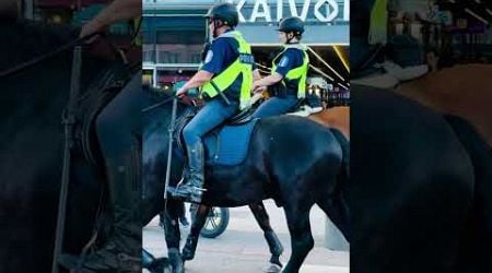 Helsinki Police l Police Horse Riders l #awaywithnishi #helsinki #finland