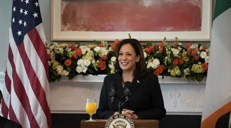 What does Kamala Harris stand for? Seven of her key policies from Medicare to immigration