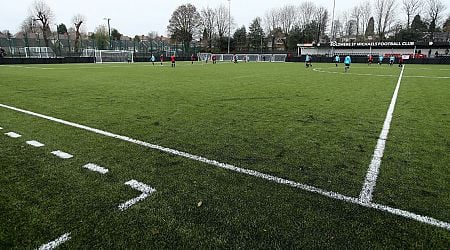 Crowd trouble at Sutton Coldfield under-ten's football match as adults brawl in stand and others run across pitch