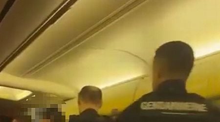 Chaos erupts on Ryanair flight forced to divert to France as passengers start 'scrapping' mid-air