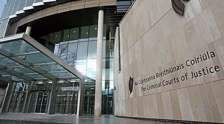 Man accused of 'butchering' woman in her Dublin home as court hears 'it was like a murder scene'