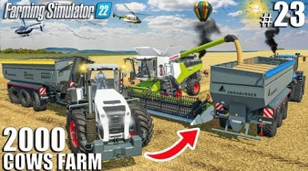 FIRST BIG WHEAT HARVEST! | 2000 Cows Farm Ep.23 | Farming Simulator 22