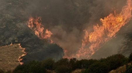 Wildfires rage across western U.S. amid intense heat wave